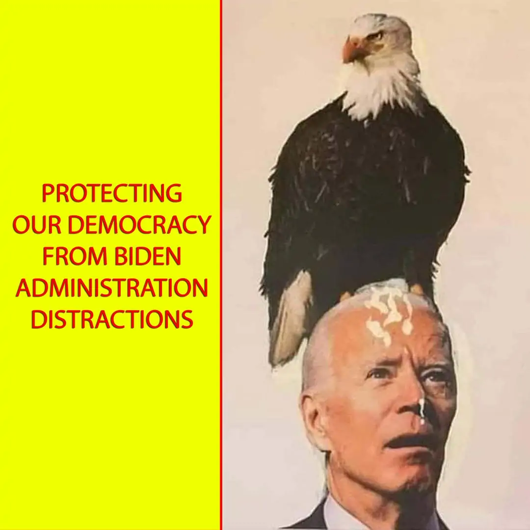 Protecting Our Democracy from Biden Administration Distractions