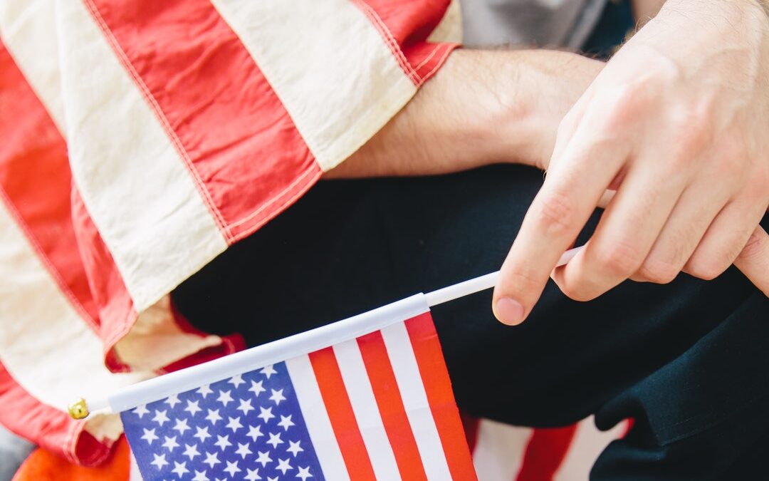 “The Beauty of America, its founding documents, the passion to understand, and saving our Democratic Republic…”